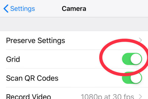grid function iPhone camera