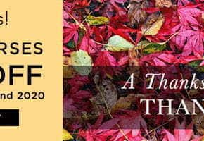 40% off all Video Courses - Thanksgiving Thanks!