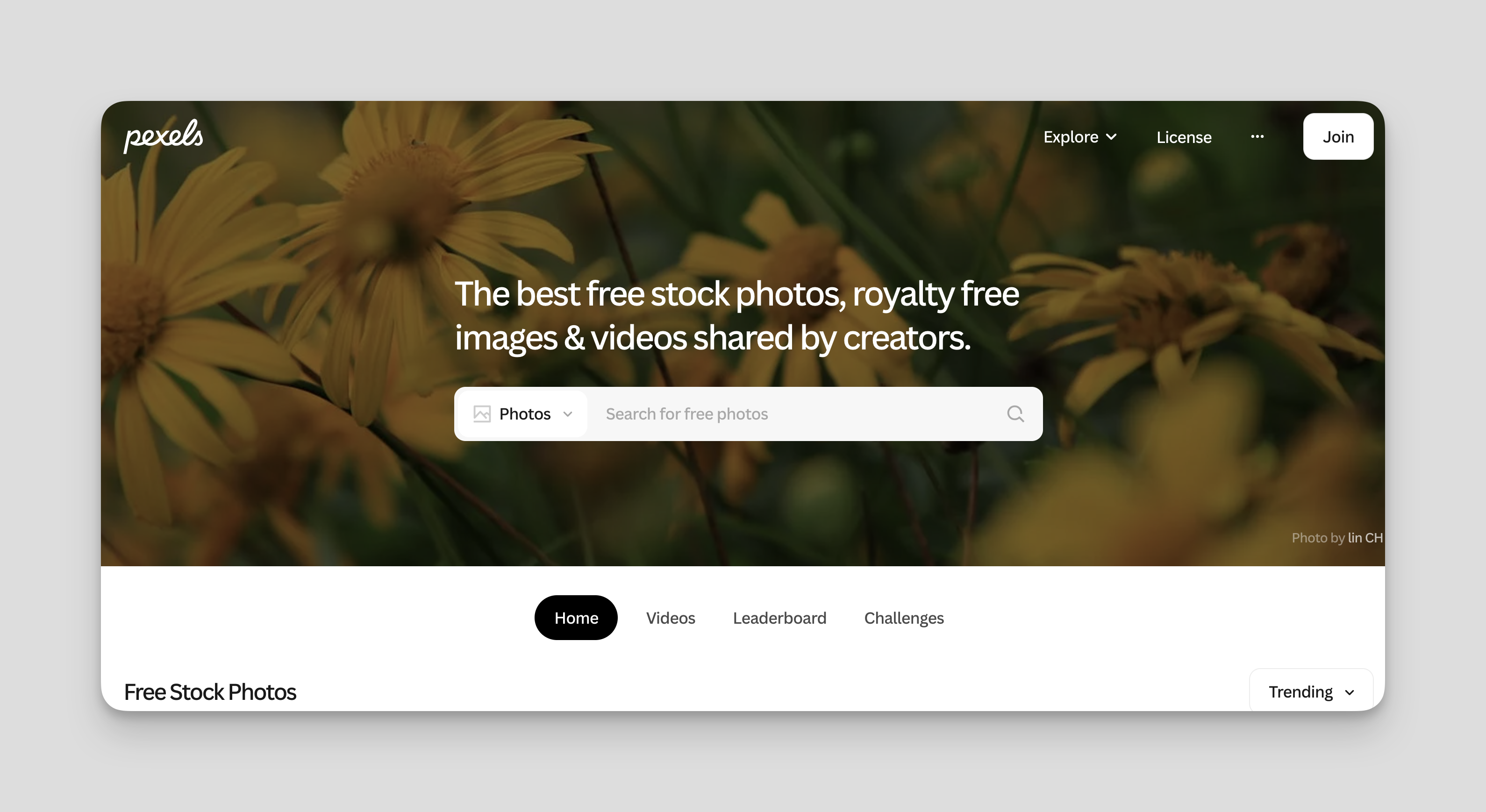 pexels-free-reference-images 
