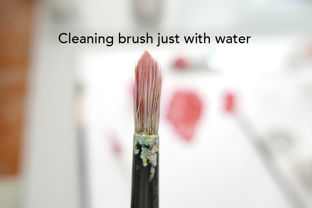 cleaning-just-water-bristles-hog-brush