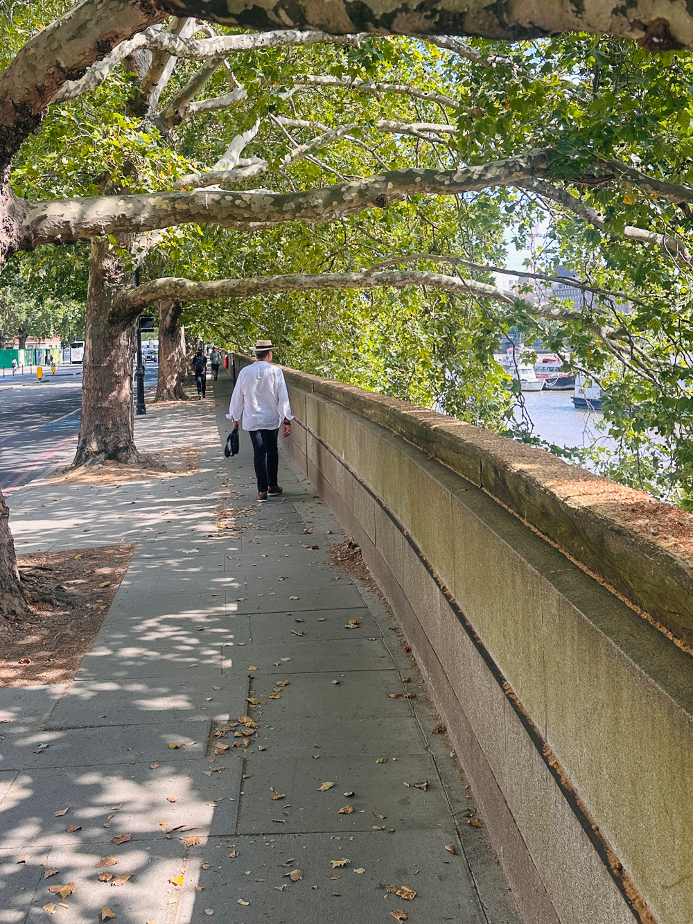 sun dappled-thames