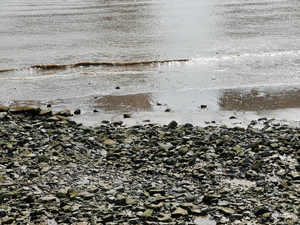 thames-whistler