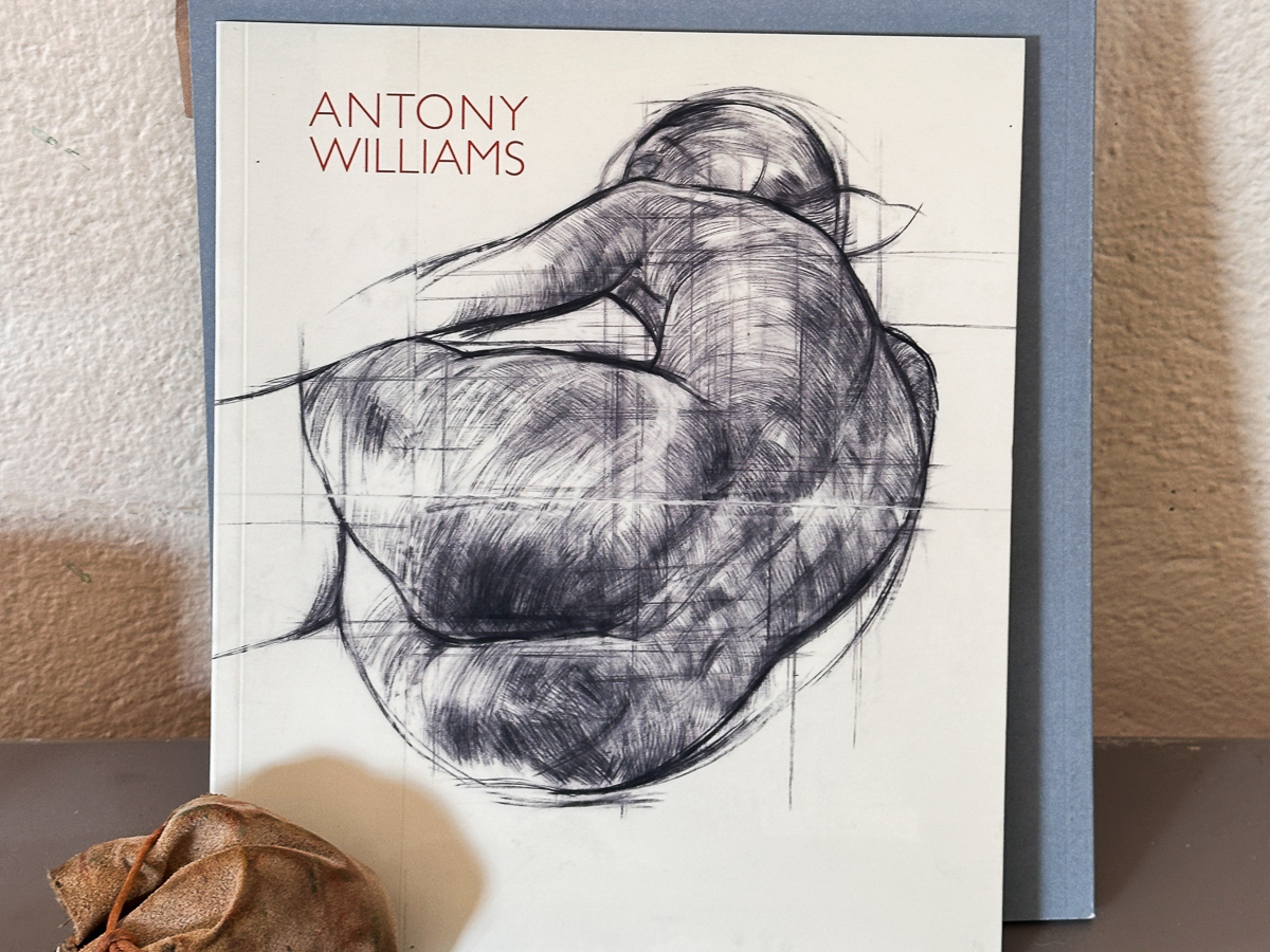 antony-williams-drawing
